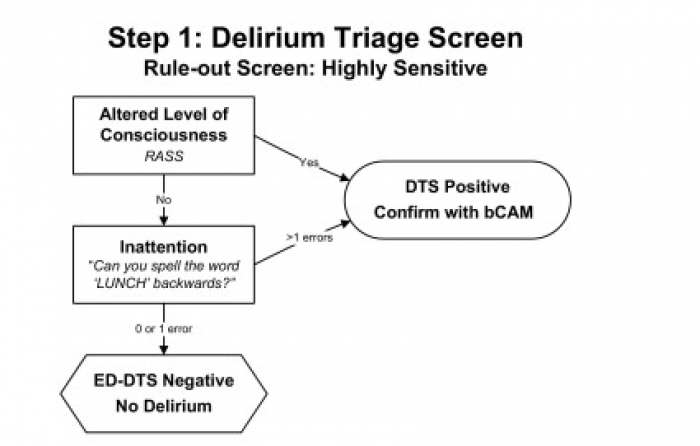 delirium, triage, consciousness, dts, bcam, inattention, ed-dts, cam, 